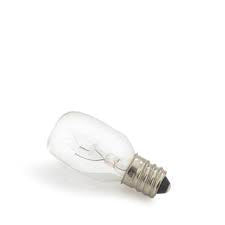 Pluggable Bulb